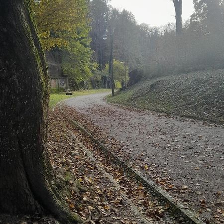 M4You Zagreb Exteriör bild