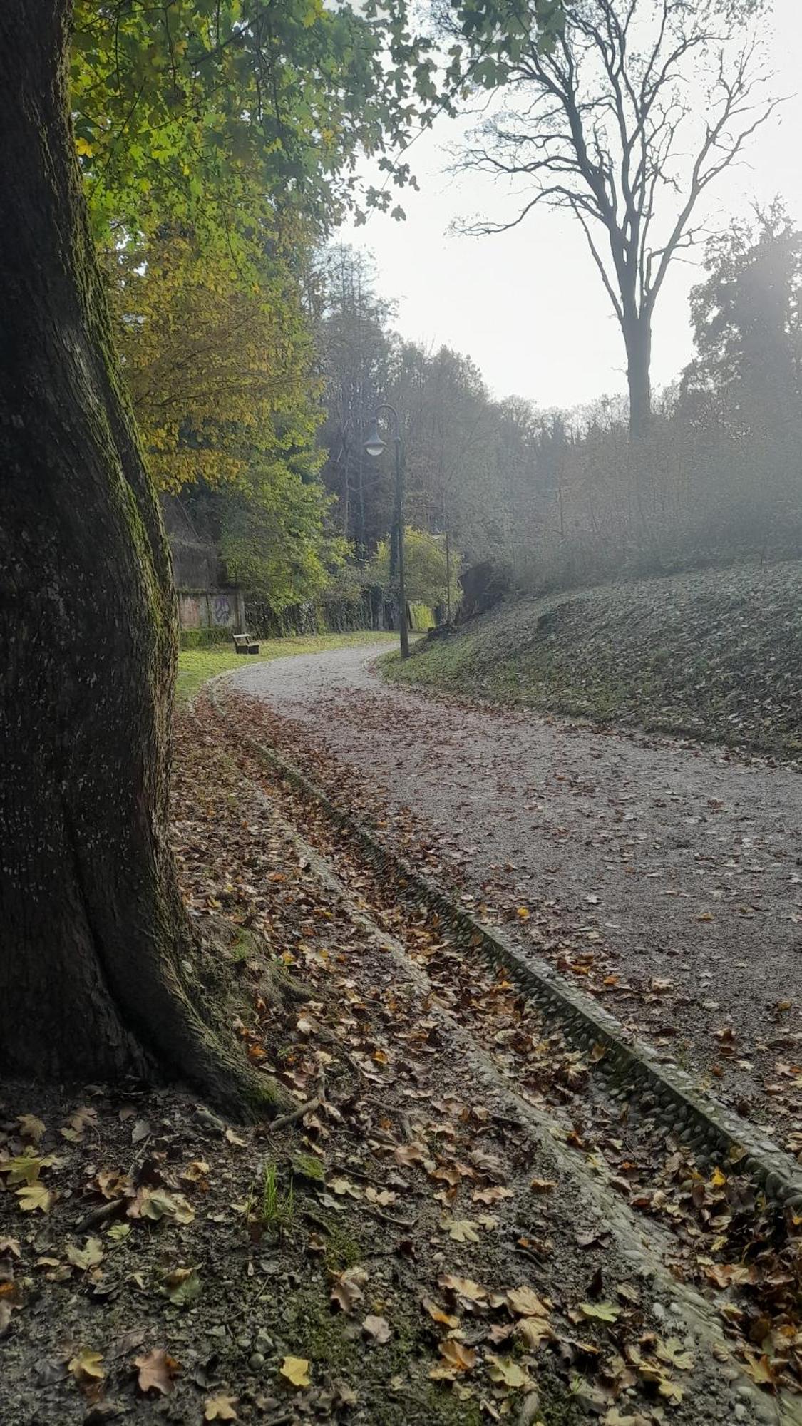 M4You Zagreb Exteriör bild